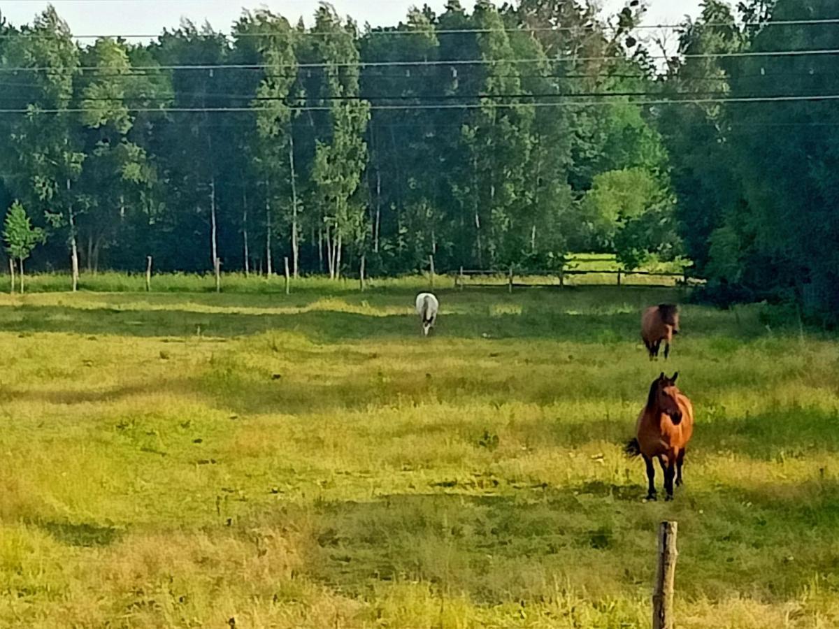 Sosnowa Polana Białowieża Esterno foto